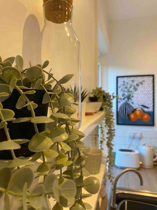 Appartamento Garden Apartment, With Parking